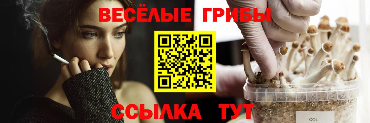 Галлюциногенные грибы мицелий  Вход с VPN  Избербаш 